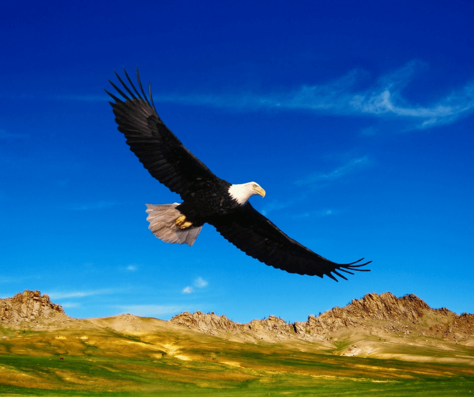 soar like an eagle with self confidence and self belief